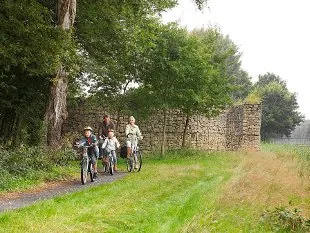 bentheim_3