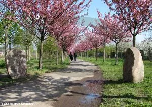 berlinermauerweg_1