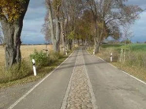 berlinusedom_1