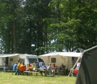 Bild Waldsee