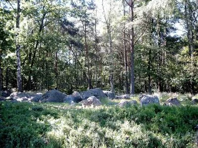emsland_bild_11-scaled