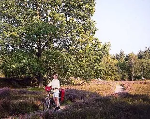 lueneb_heide_bild_1-scaled