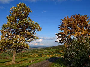 mainrhoen_2