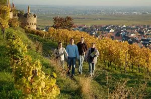 wachenheim_radwandern_bild_3-scaled