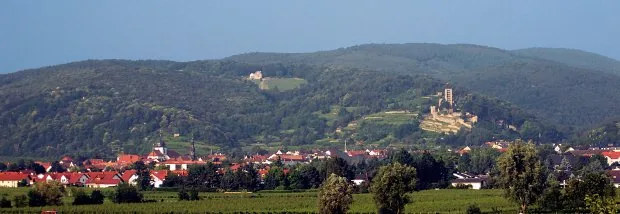 wachenheim_radwandern_bild_5-scaled
