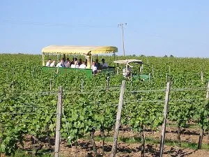 weinstrasse_2
