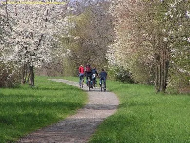 weserharzheide_bild_1-scaled